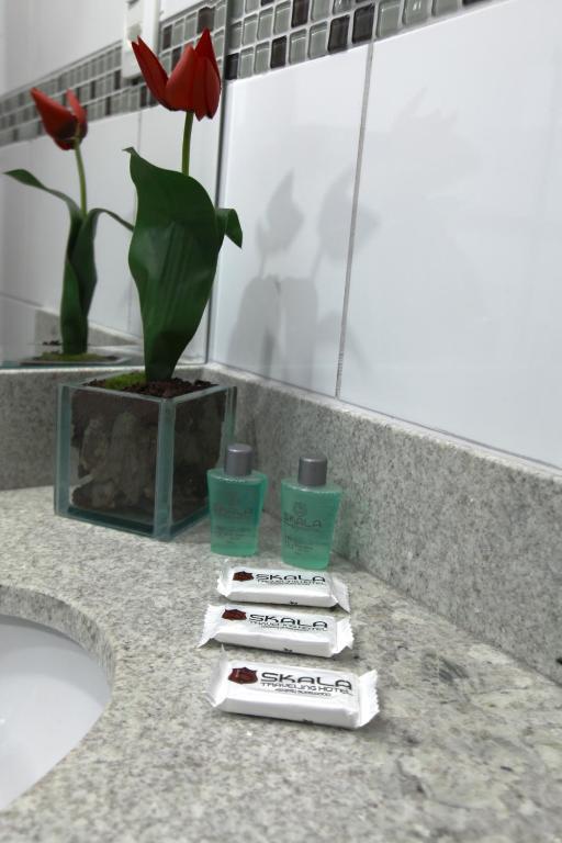 Skala Traveling Hotel Cuiaba  Bagian luar foto